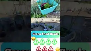 Container Gardening Easy 🌱 How to Grow Tons of Vegetables in Small Space Garden Tomatoes 