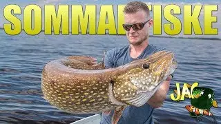 Sommarfiske - Turbogäddor!