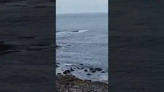 Баренцево, Териберка