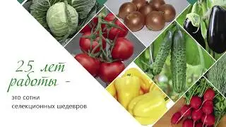 «Гавриш». Презентация компании. «Gavrish». Company presentation