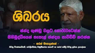 ශිඛරය | චන්ද ගුණ්ඩු වලට නොරැවටෙන්න සිහිබුද්ධියෙන් තැපැල් ඡන්දය පාවිච්චි කරන්න | EP 04
