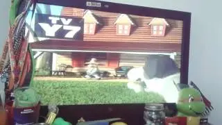 Back at the barnyard theme song