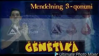 Genetika 3-qism. Mendelning 3-qonuni  (Genlarning mustaqil holda irsiylanishi)