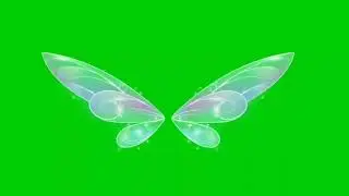 Pari pankh! Green screen video! No copyright! Use free!