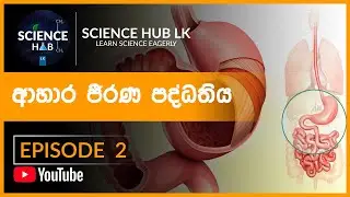 O/L Science (Sinhala) | Grade 11 | ආහාර ජීරණ පද්ධතිය | Human Digestive System | Episode 2