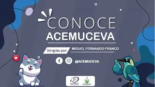 Conoce Acemuceva