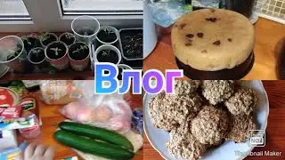 Овсяное печенье / Снегопад / Пикировала помидоры /Готовка /Домашние хлопоты / Влог