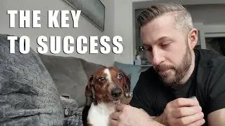 What I’ve learned about success at 37 years old