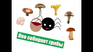 Мультики для детей. Собираем грибы. Учим названия грибов.