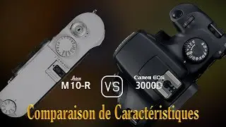 Leica M10-R vs. Canon EOS 3000D: Une Comparaison de Caractéristiques