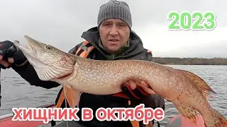 Рыбалка в октябре.