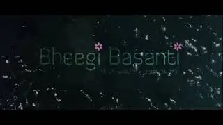 Bheegi Basanti Entertainment Pvt Ltd (2011) 1080p