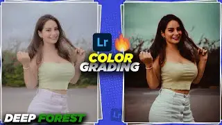 Lightroom Mobile: 🔥Deep Forest Editing in Lightroom Mobile.