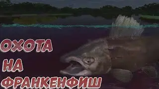 Fishing Planet PS4# Охота на Франкенфиш / Миссии Хелоуин / Helloween event