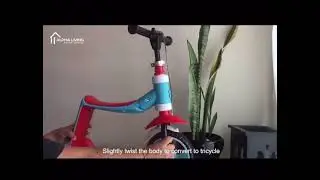 2 in 1 Kids Scooter Balance Bike Car Tricycle (TOY0104)