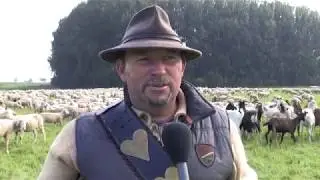 DruckSache - Zwischen zehn und zwölf kommt der Wolf