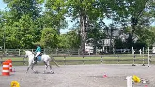 Lumos speed round. Our First Working Equitation show. Level 2 Novice A