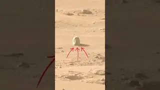 Mars Rover Perseverance SOL 1239 | quicksolutions-data