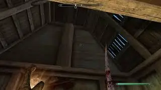 Throwing my child's dead pet | Skyrim