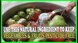 Use This Natural Ingredient To Keep Your Vegetables And Fruits Pesticide Free | Best Home Remedies