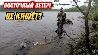 И снова РАЗВЕДКА НОВОГО ОЗЕРА. РЫБАЛКА на СПИННИНГ. КУМЖА. КОЛЬСКИЙ ПОЛУОСТРОВ.