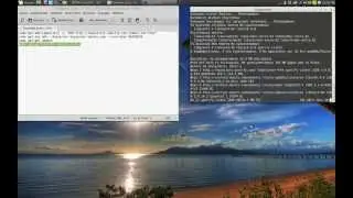 how to install spotify on linux mint/ubuntu
