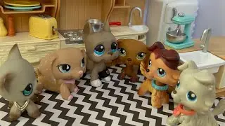 LPS:✧𝓕𝓪𝓵𝓼𝓮✧ [Odcinek #24]