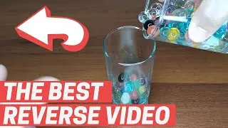The Best Reverse Video Orbis | Sizzling Pill | Bread