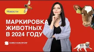 Обязательная маркировка животных в 2024 году