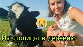 Как Катя оказалась в деревне с таким хозяйством  ?!