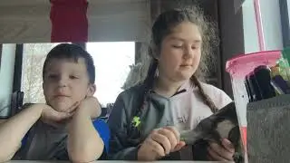 Вопрос ответ 😃