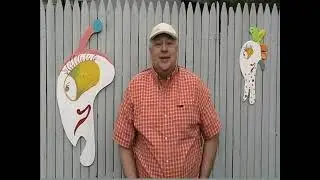 (57) * When It Really Is One Of A Kind * Zotos Short Art Concepts