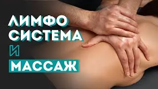 О лимфосистеме и влиянии массажа на неё. Строение, функции, ток лимфы, важность  лимфодренажа