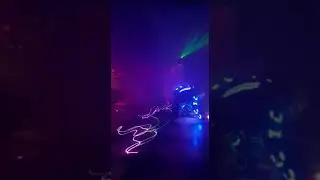 шоу хищники москва световое шоу на заказ 89262073792