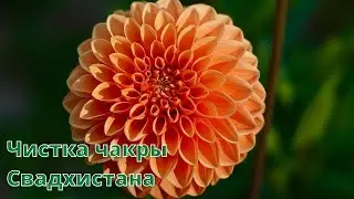 РИТУАЛ-ЧИСТКА ВТОРОЙ ЧАКРЫ - СВАДХИСТАНА💥💯🌹