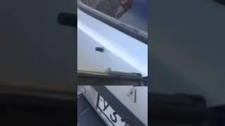 Саб в ниве