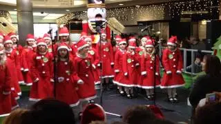 Leigh & Bransford School Musical Theatre Group