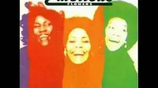 The Emotions - I Don't Wanna Lose Your Love (Audio only)