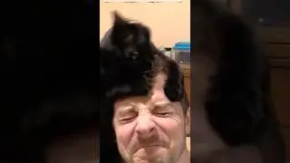 When People Say Cats aren't as Affectionate as Dogs