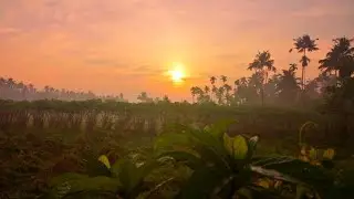 Morning bliss #sunrise #naturevibes