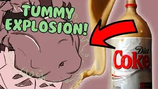Stomach vs. Diet Coke and Mentos (Belly Gurgles ASMR)