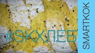 РЕЦЕПТ ХЛЕБА БЕЗ ДРОЖЖЕЙ #SK РЕЦЕПТЫ