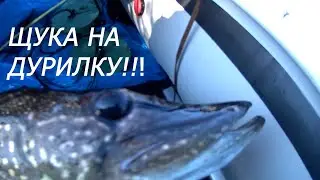 49 Как сделать летние кружки (жерлицы) своими руками Ловим крупную щуку на жерлицы!// Fishing pike