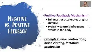 Homeostasis Notes and Practice