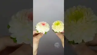 Хризантема из творожной крем-пасты