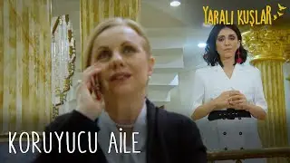 Metehanoğlu ailesi Ömer'in koruyucu ailesi mi olacak  | Yaralı Kuşlar