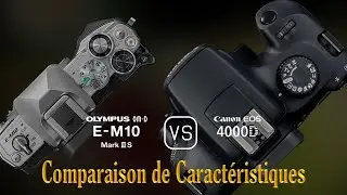 Olympus OM-D E-M10 Mark III S vs. Canon EOS 4000D: Une Comparaison de Caractéristiques