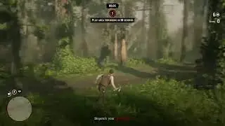 Heat_313RD's Live on red dead redemption 2