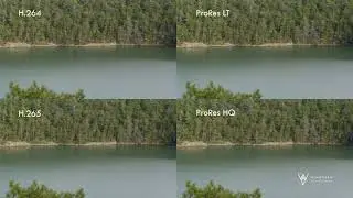 Mavic 2 Pro - H.265 converted to ProRes, H.264