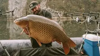 Ribolov Šarana - Big Carp Fishing - reka Lim